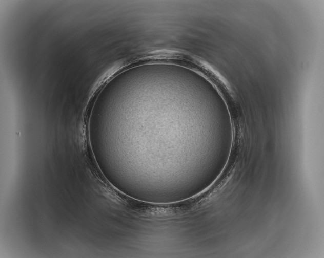 X0000116641362200912141227