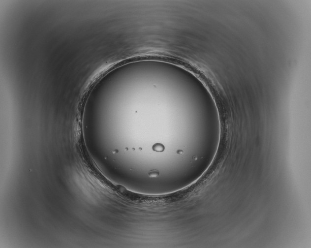 X0000116641363200912141227