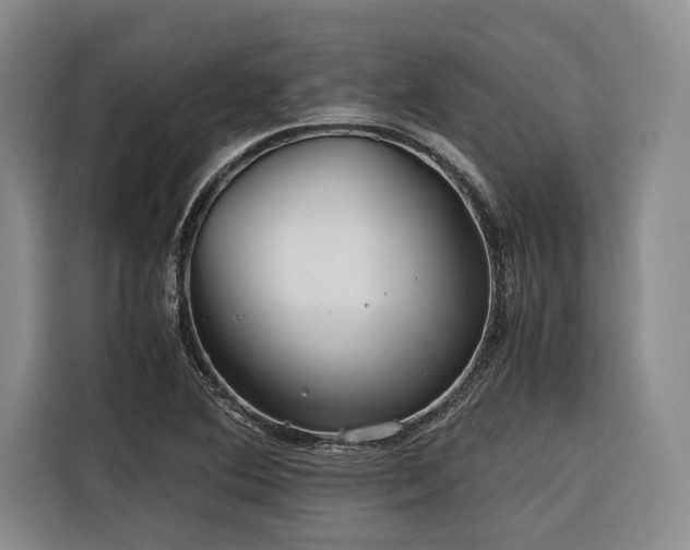 X0000116641364200912141227