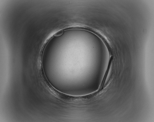 X0000116641367200912141227