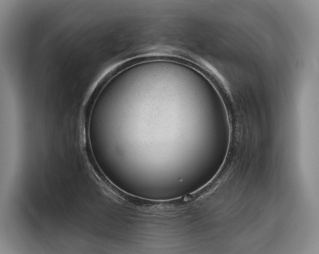 X0000116641368200912141227