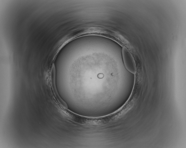 X0000116641369200912141227