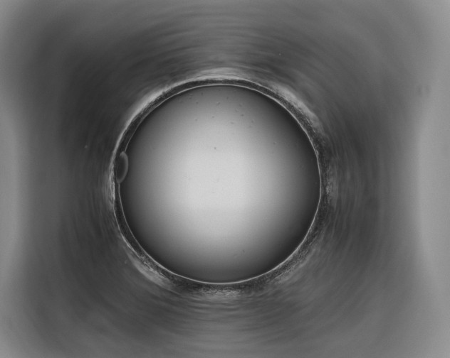 X0000116641372200912141227