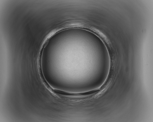 X0000116641373200912141227