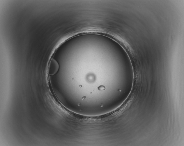 X0000116641374200912141227