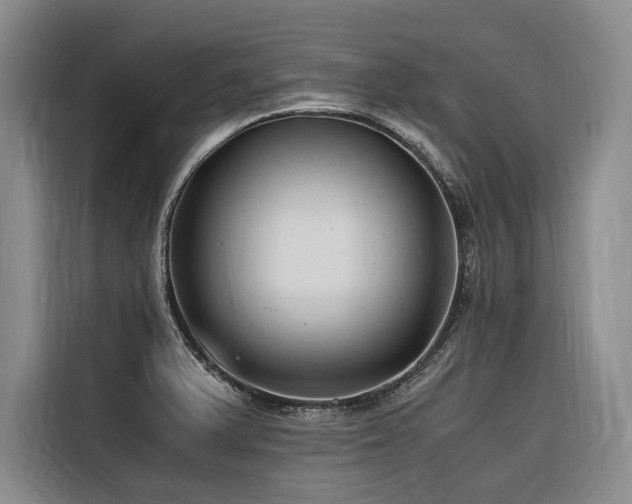 X0000116641375200912141227