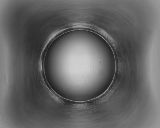 X0000116641376200912141227