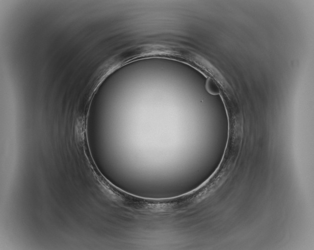 X0000116641377200912141227