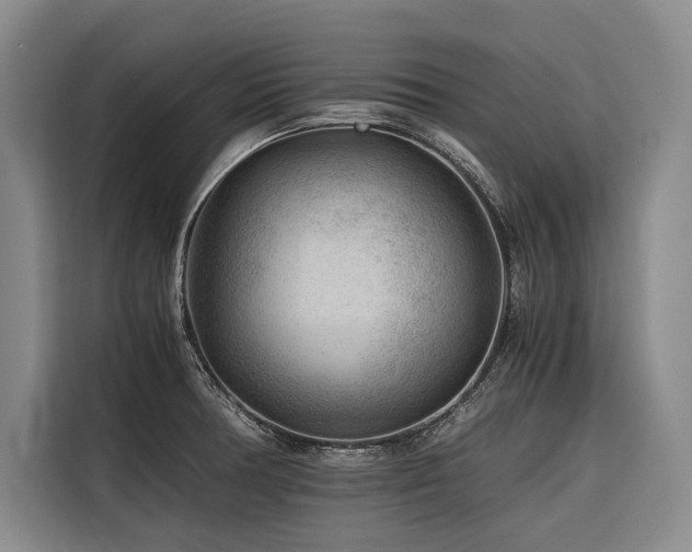 X0000116641378200912141227