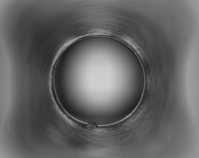 X0000116641379200912141227