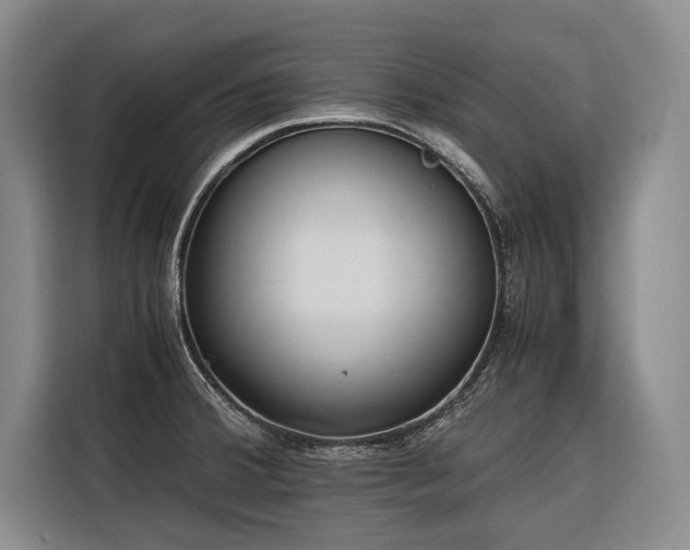 X0000116641380200912141227