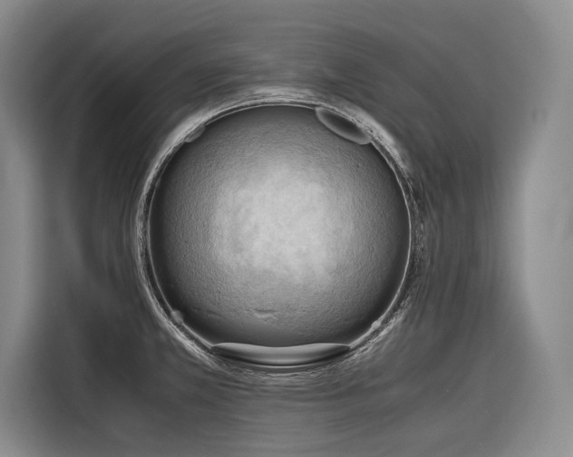 X0000116641381200912141227