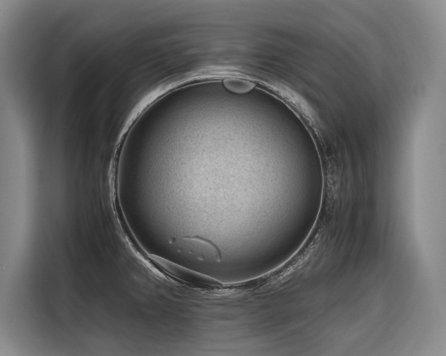 X0000116641382200912141227