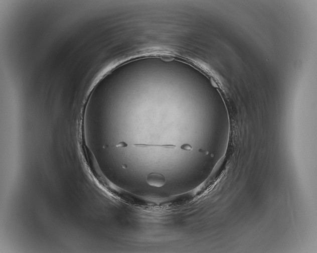 X0000116641383200912141227