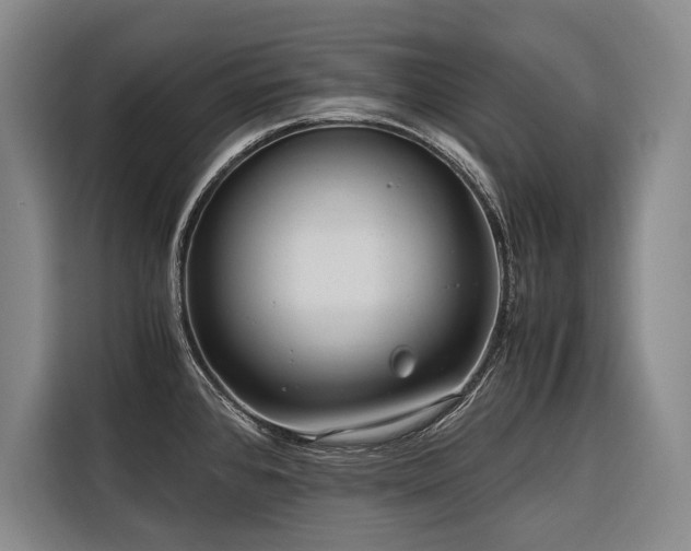 X0000116641384200912141227