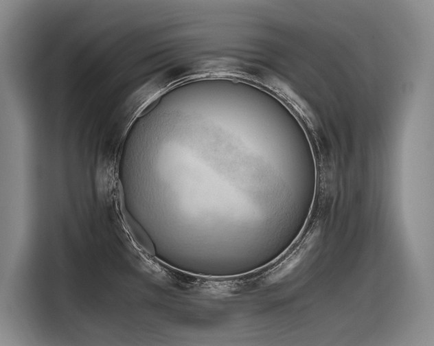 X0000116641385200912141227