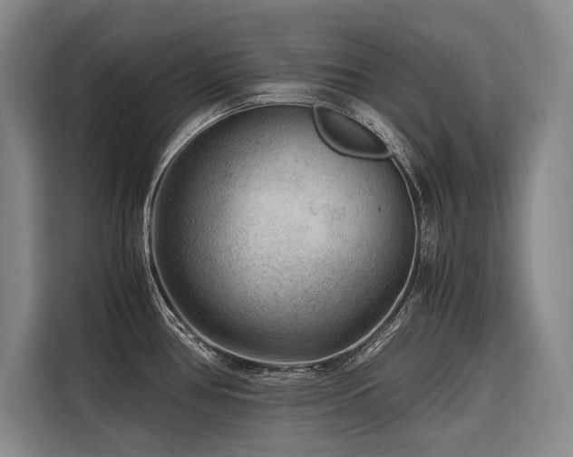 X0000116641386200912141227