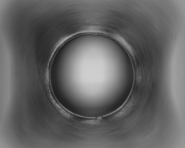 X0000116641388200912141227