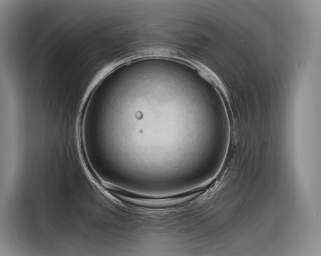 X0000116641389200912141226