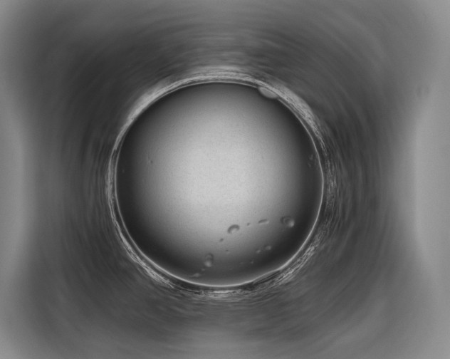 X0000116641390200912141226