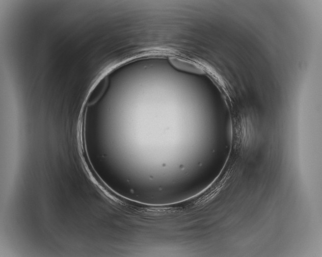 X0000116641391200912141226