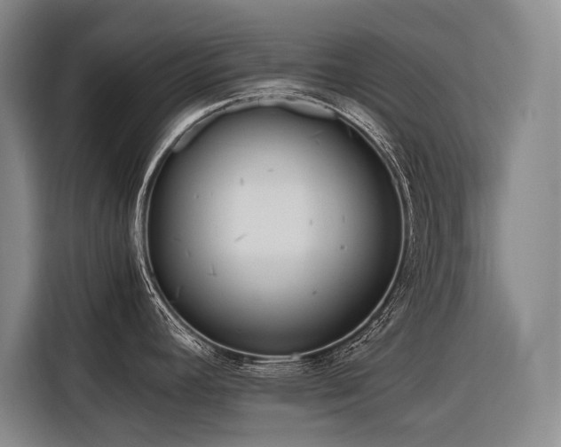 X0000116641392200912141226