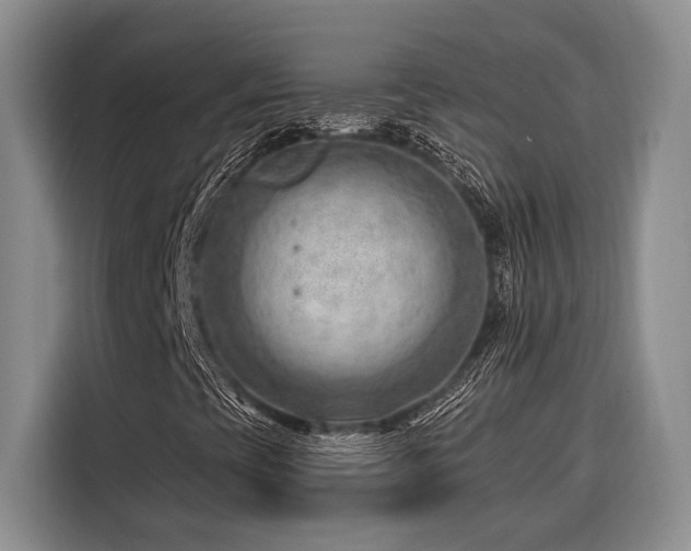 X0000116641393200912141226