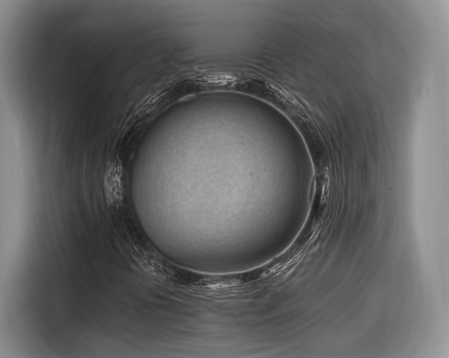 X0000116641394200912141226