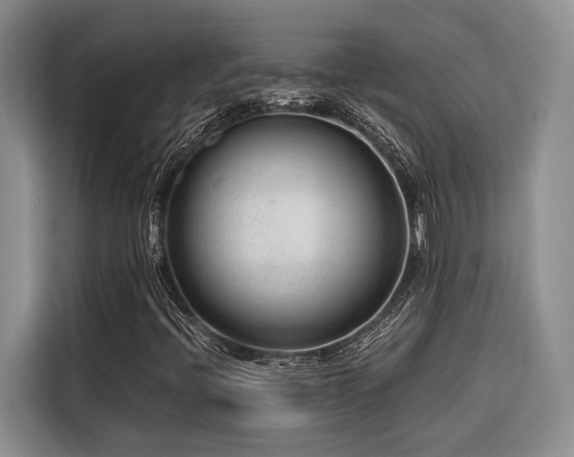 X0000116641396200912141226