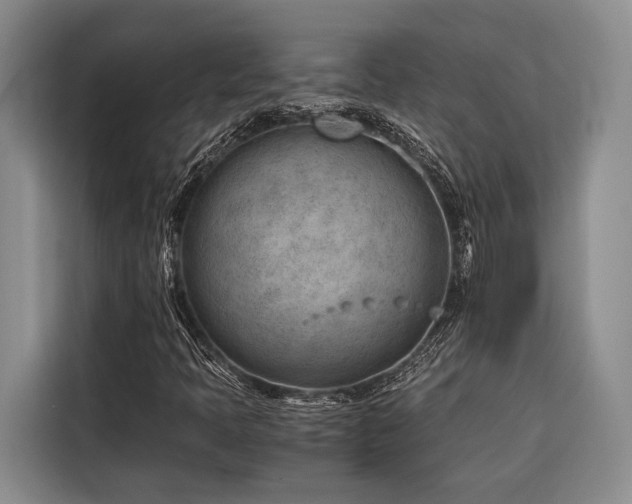 X0000116641397200912141226