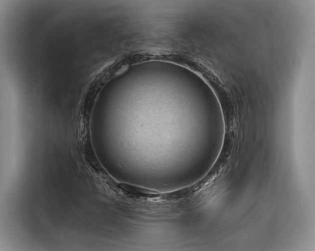 X0000116641398200912141226