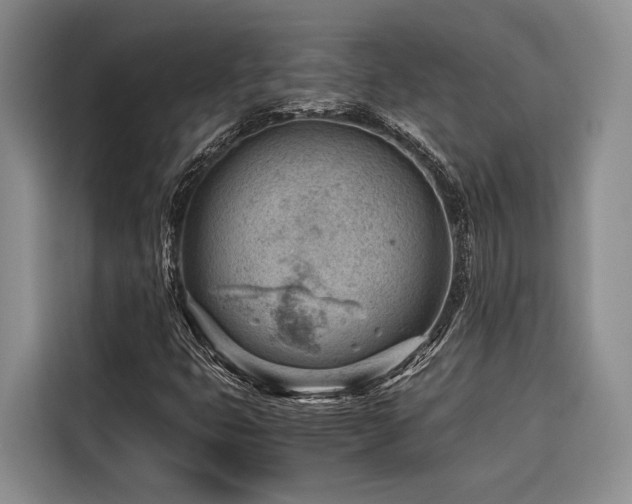 X0000116641399200912141226