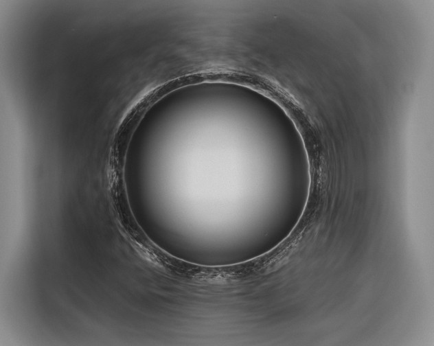 X0000116641400200912141226