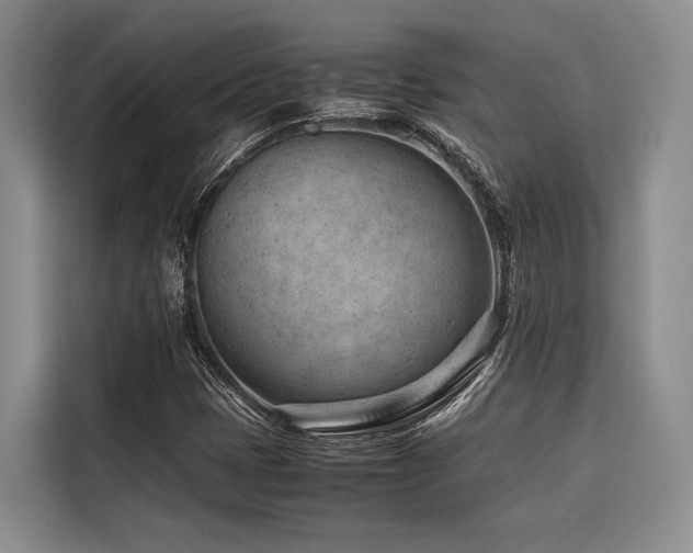 X0000116641401200912141226