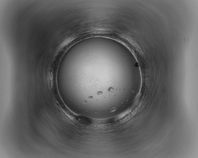 X0000116641402200912141226