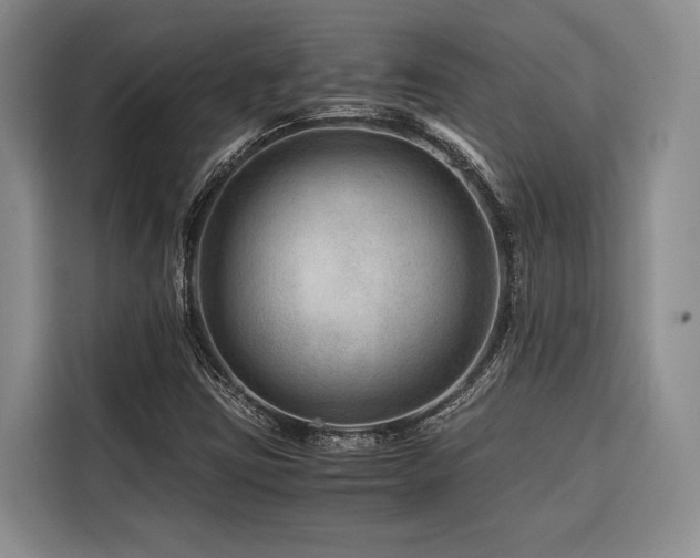 X0000116641403200912141226