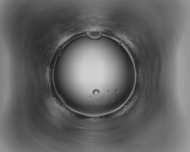 X0000116641404200912141226