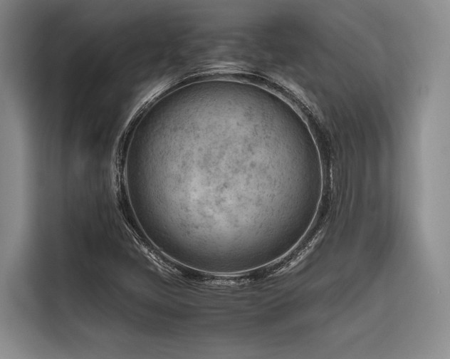 X0000116641405200912141226