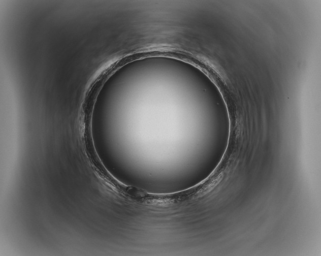 X0000116641406200912141226