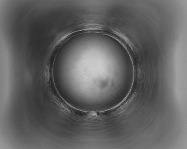 X0000116641407200912141226