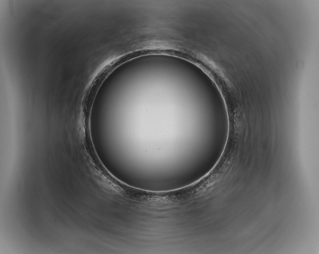 X0000116641408200912141226