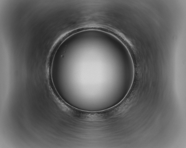 X0000116641416200912141226