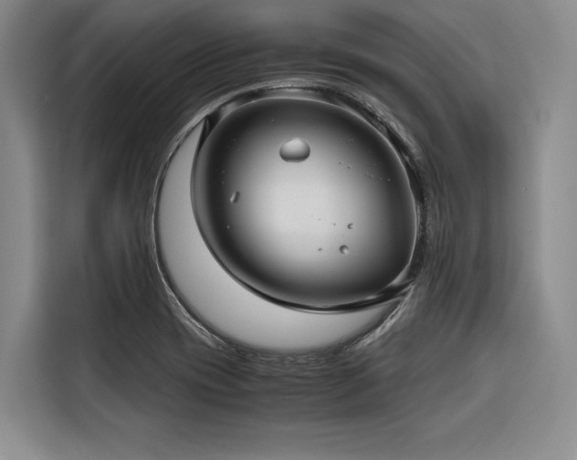 X0000116641417200912141226