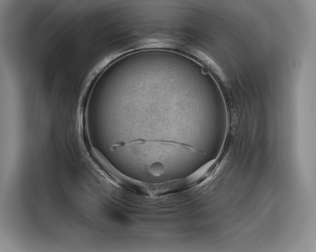 X0000116641419200912141226