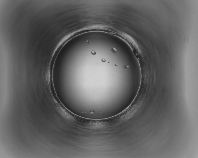 X0000116641420200912141226