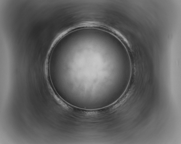 X0000116641421200912141226