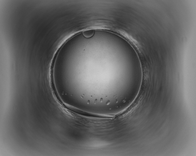 X0000116641423200912141226