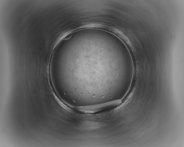 X0000116641425200912141226