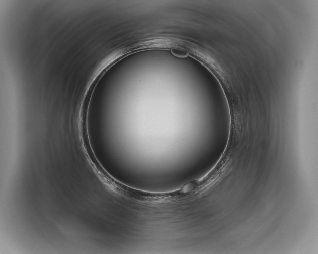 X0000116641426200912141226