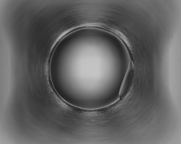 X0000116641428200912141226